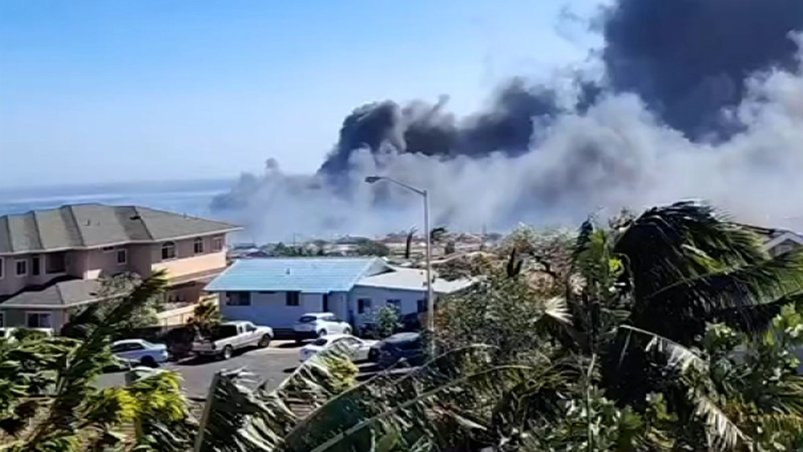 ‘It’s apocalyptic’: People jump into the ocean to flee Maui wildfires as patients overwhelm hospitals and 911 gets cut off
